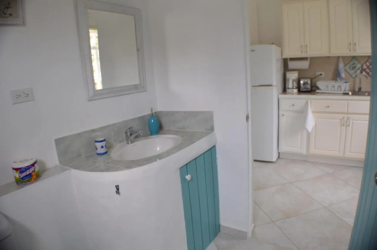 Two Palms Apartment - In Sweet Jewel Apartments Christ Church Barbados